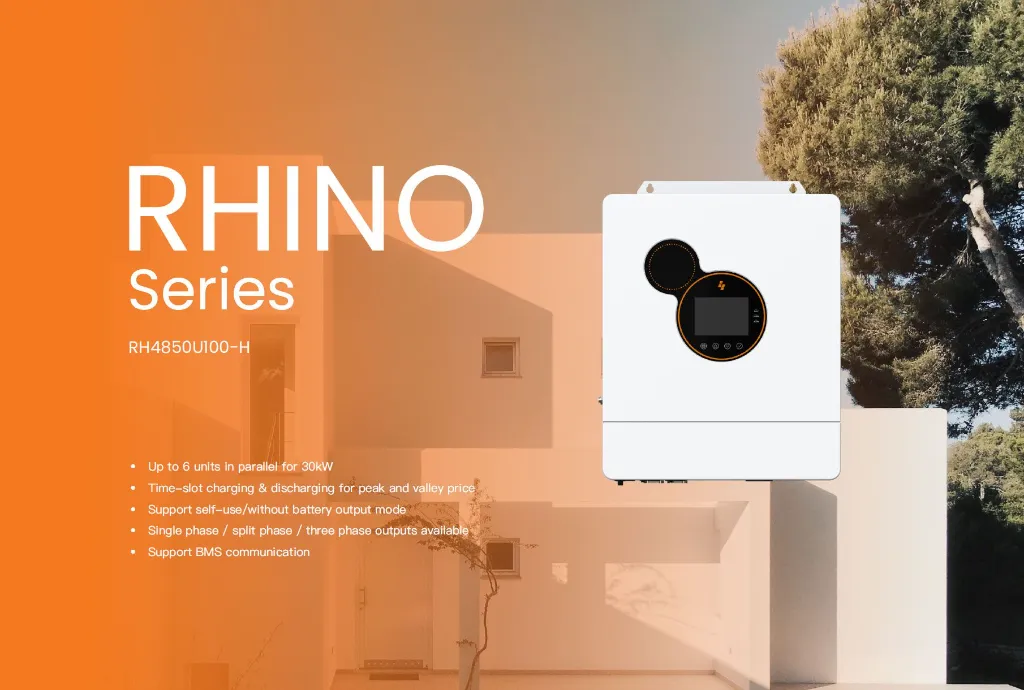 RHINO_Intro_1_jpg.webp